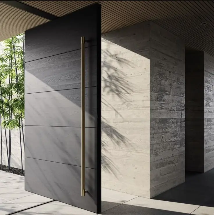 Pivot Door _ VD10003